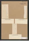 Homoeocladia sp. (de-Toni-Nr.: Genus 48) Zeichnungen Sammlung Grunow Nr. 4412 (NHMW-BOT-W0372577)